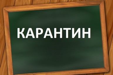 О закрытии классов на карантин и переводе процесса обучения с применением дистанционных образовательных технологий 5-б, 6-а классов.